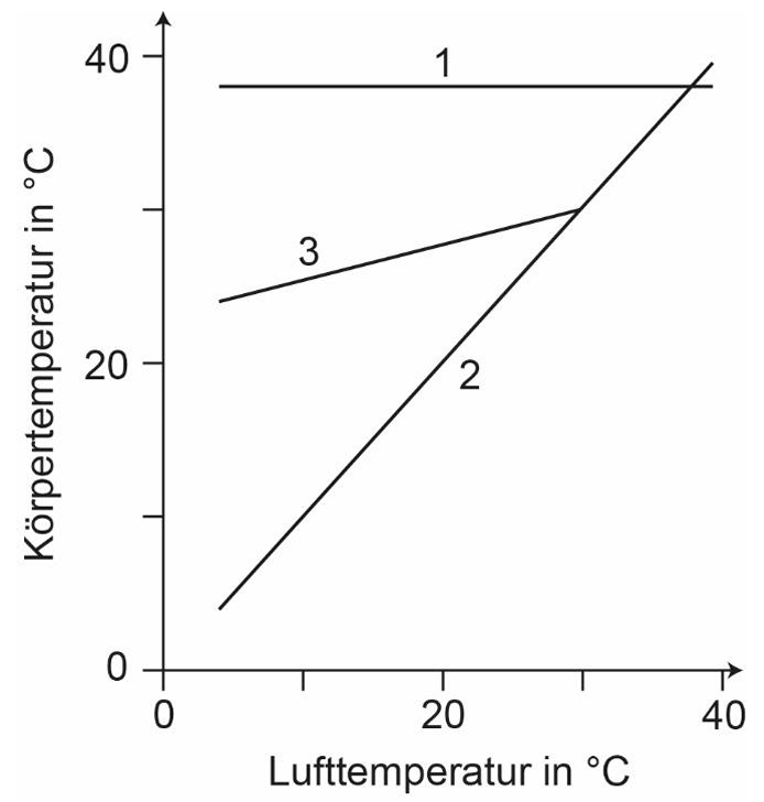 Diagramm mit Luft- und Körpertemperaturachsen (0–40 °C) und drei Linien beschriftet 1, 2 und 3
